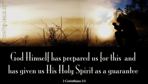 2 Corinthians 5:5 The Holy Spirit Is A Guarantee (brown)